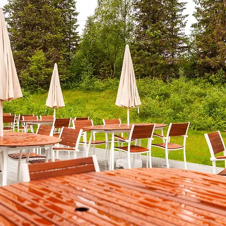 Skillevollen 2* Mo i Rana